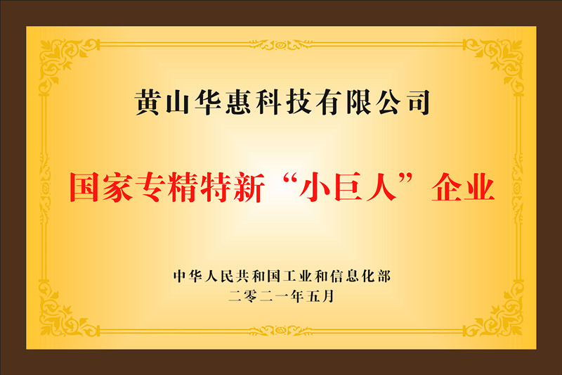 國家專精特新小巨人企業
